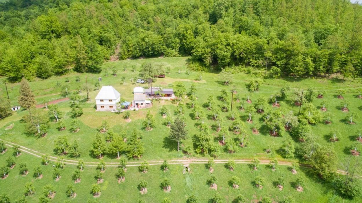 Gasthaus Kljajevica Orchard Pljevlja Exterior foto